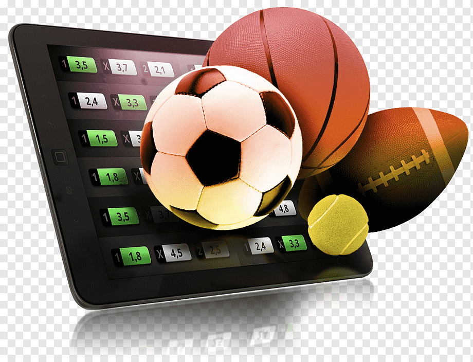 Online Bingo with Real Rewards 24